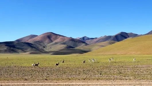 中国旅行中的八大禁地(图10)